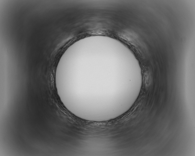 X0000088441446200705220905