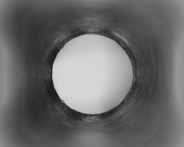 X0000088441447200705220905