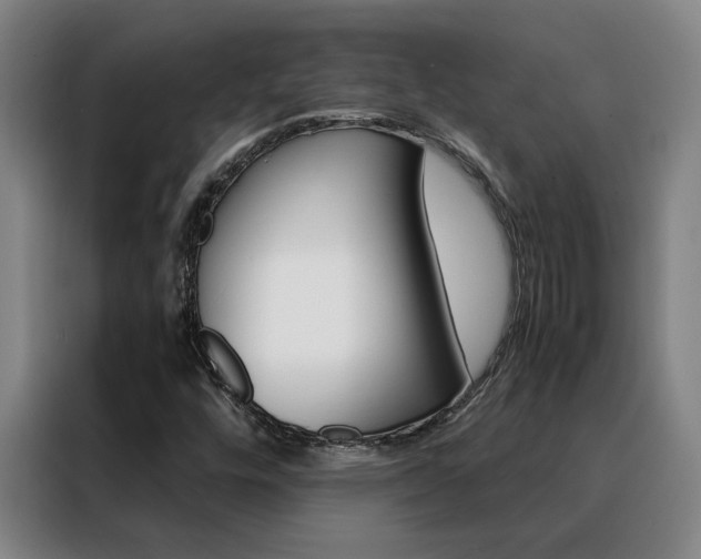 X0000088441448200705220905