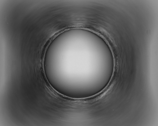 X0000088441449200705220905