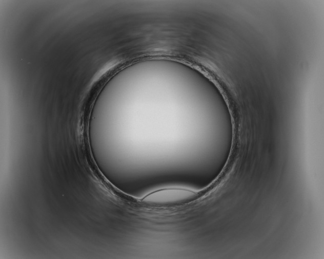 X0000088441450200705220905
