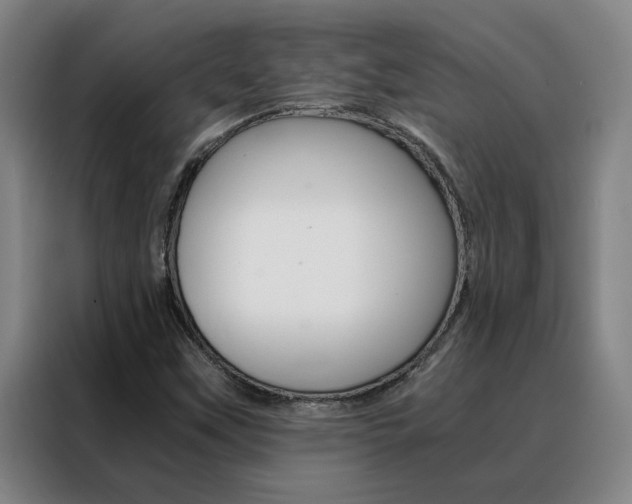 X0000088441451200705220905