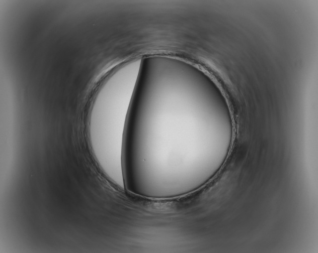 X0000088441453200705220905