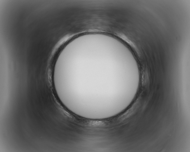 X0000088441454200705220905