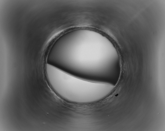 X0000088441456200705220905