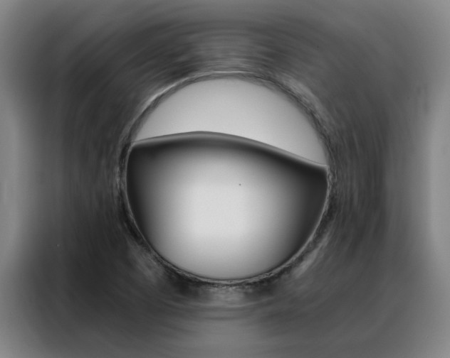 X0000088441457200705220905