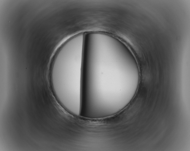 X0000088441460200705220905