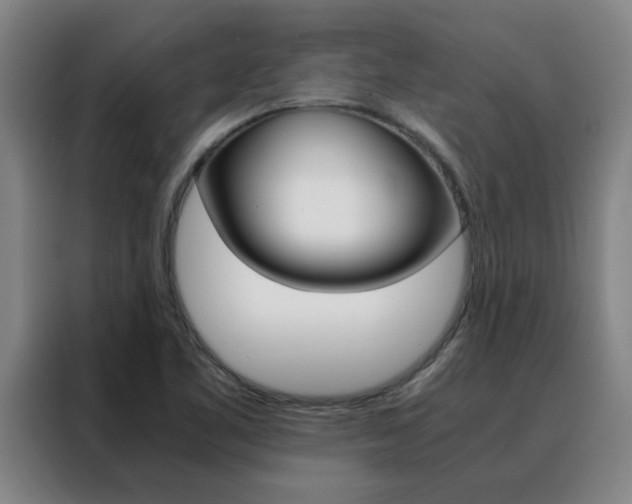X0000088441461200705220905