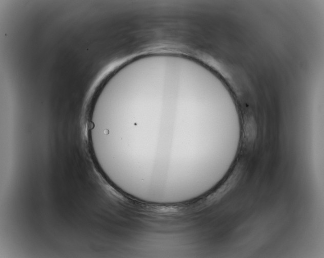 X0000088441462200705220905