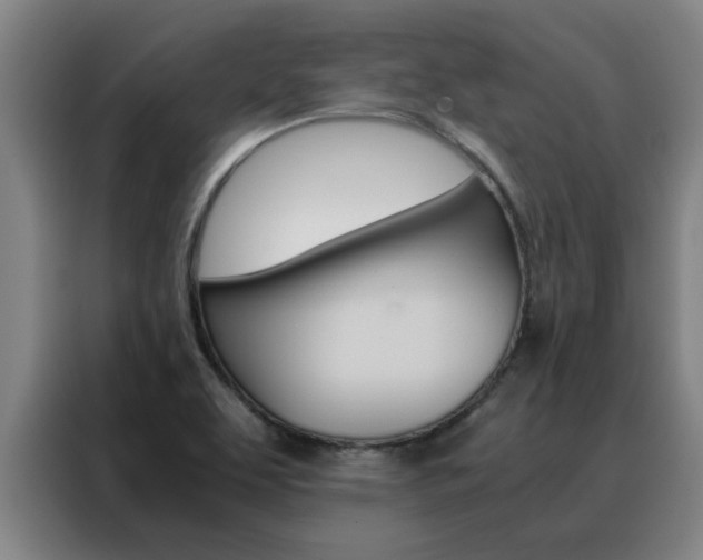 X0000088441463200705220904