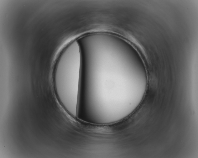 X0000088441464200705220904