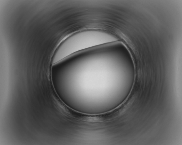 X0000088441465200705220904