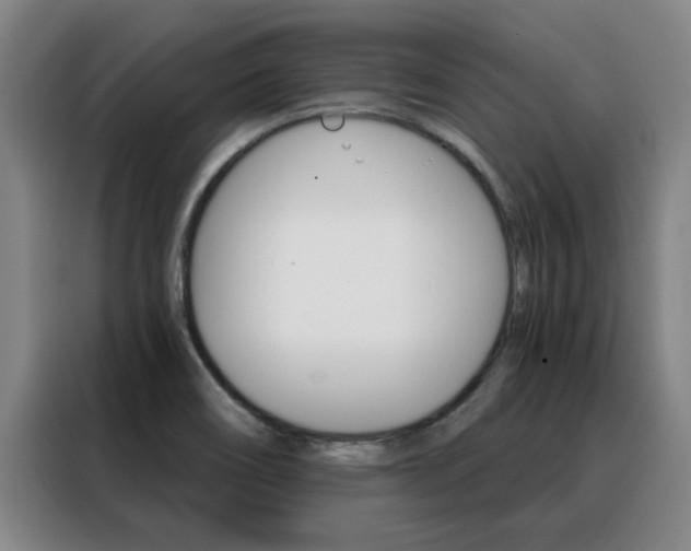 X0000088441466200705220904