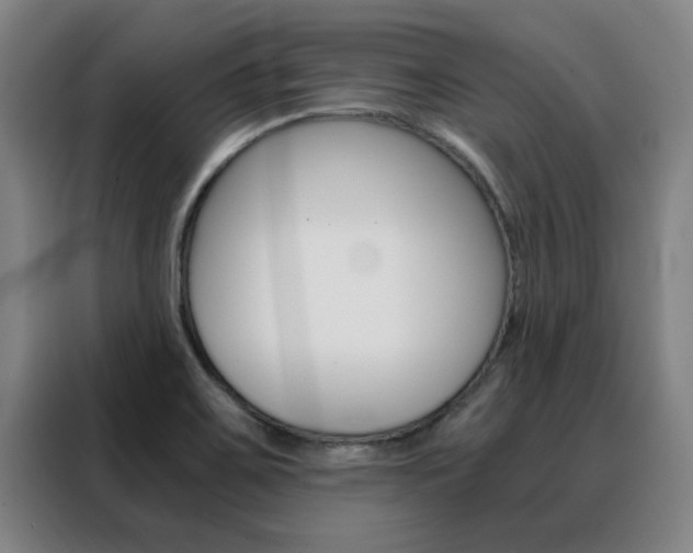 X0000088441467200705220904