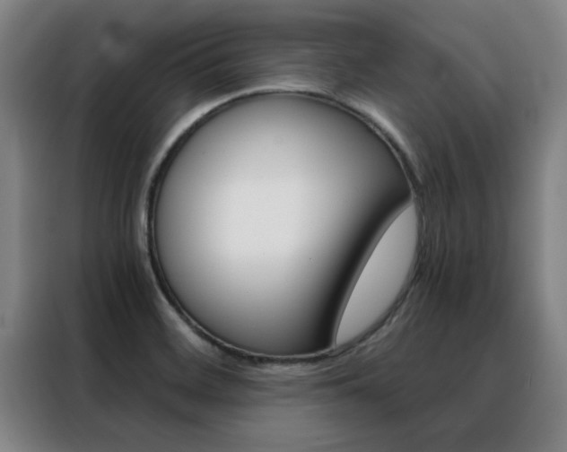 X0000088441468200705220904