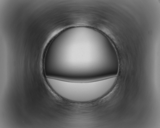 X0000088441469200705220904