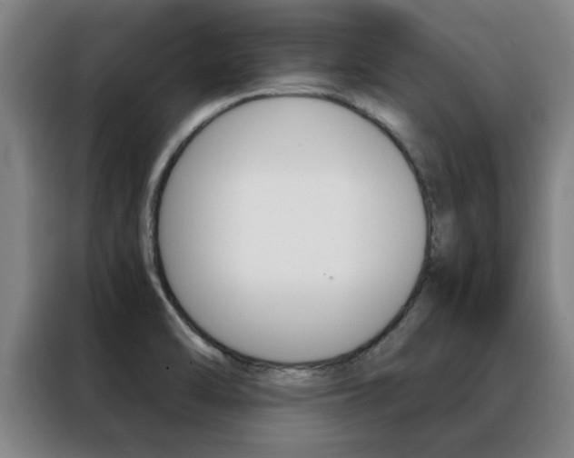 X0000088441470200705220904