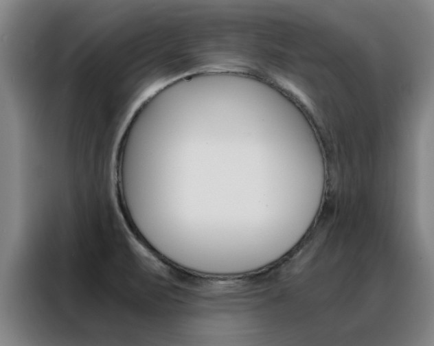 X0000088441471200705220904