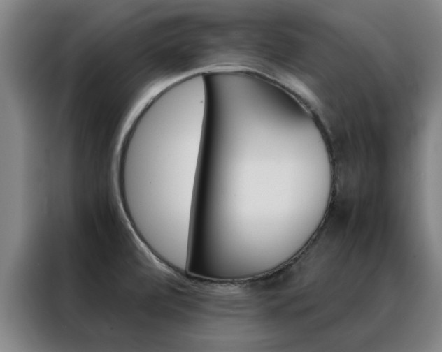 X0000088441472200705220904