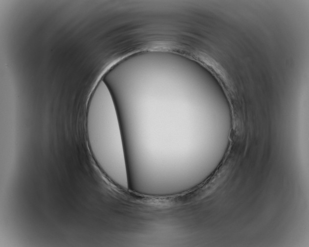 X0000088441473200705220904