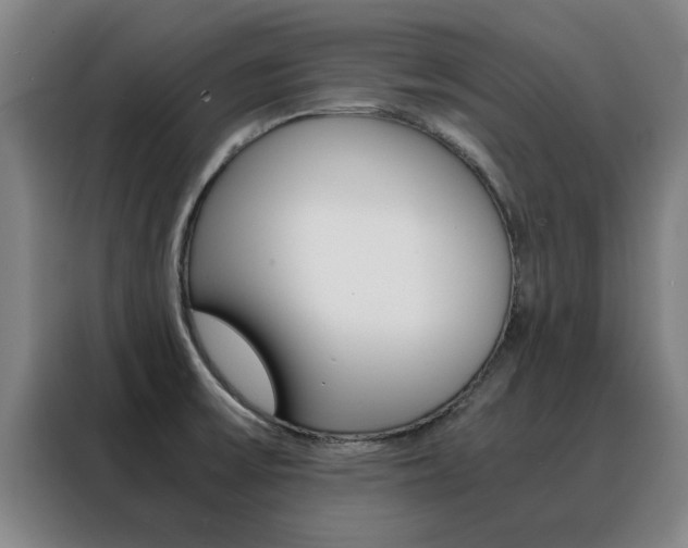 X0000088441475200705220904