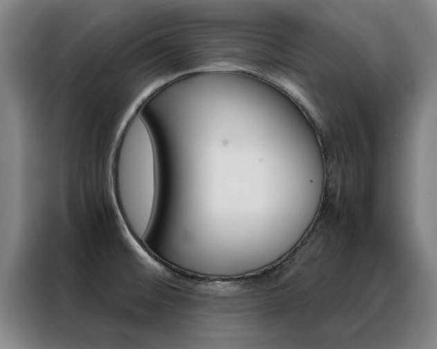 X0000088441476200705220904