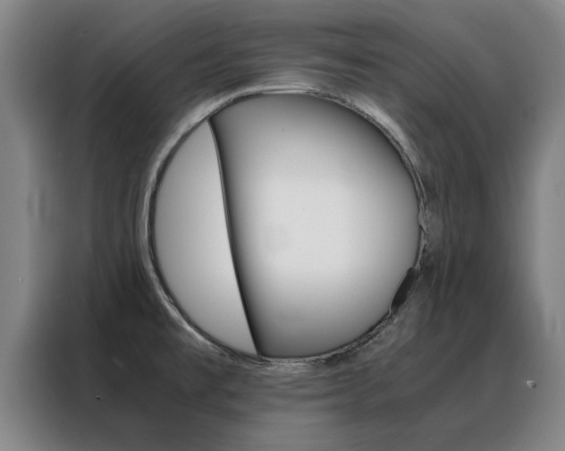 X0000088441477200705220904