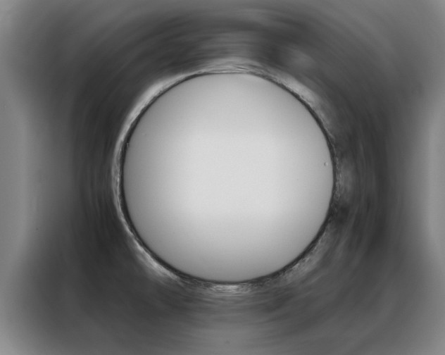 X0000088441478200705220904