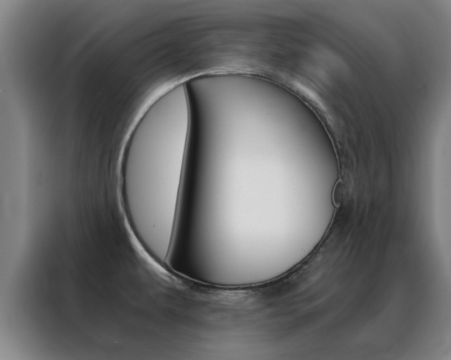 X0000088441479200705220904