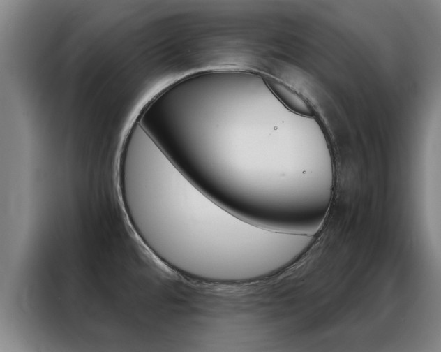 X0000088441480200705220904