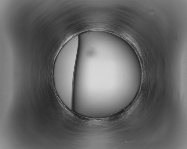 X0000088441481200705220904