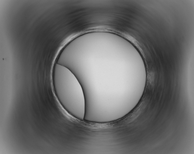 X0000088441482200705220904
