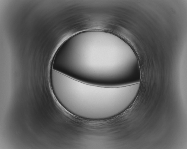 X0000088441483200705220904