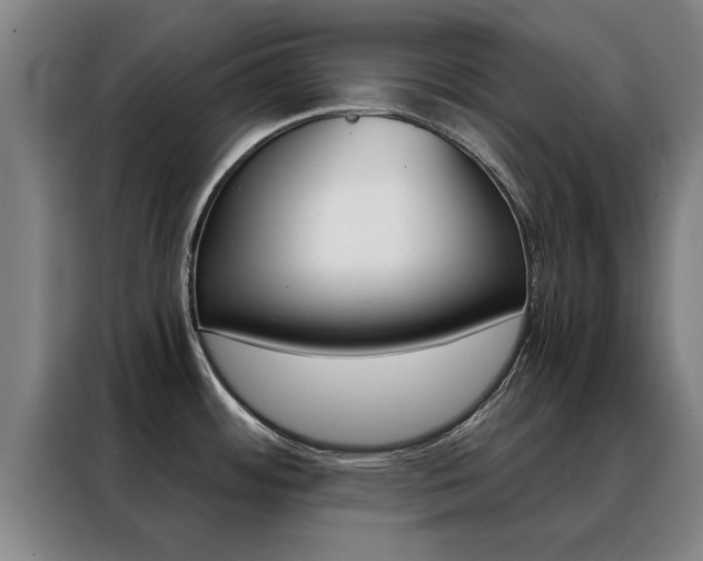 X0000088441484200705220904