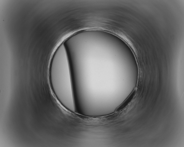 X0000088441485200705220904
