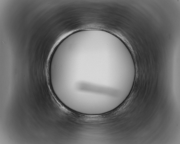 X0000088441486200705220904