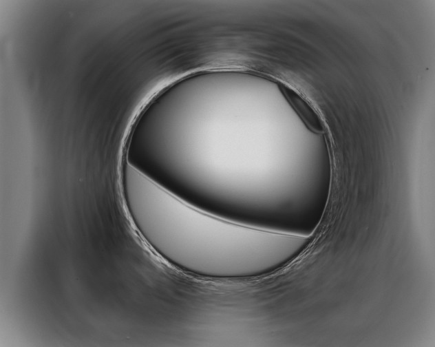 X0000088441488200705220904