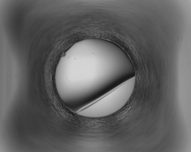 X0000088441489200705220904