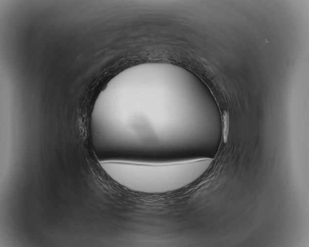 X0000088441491200705220904