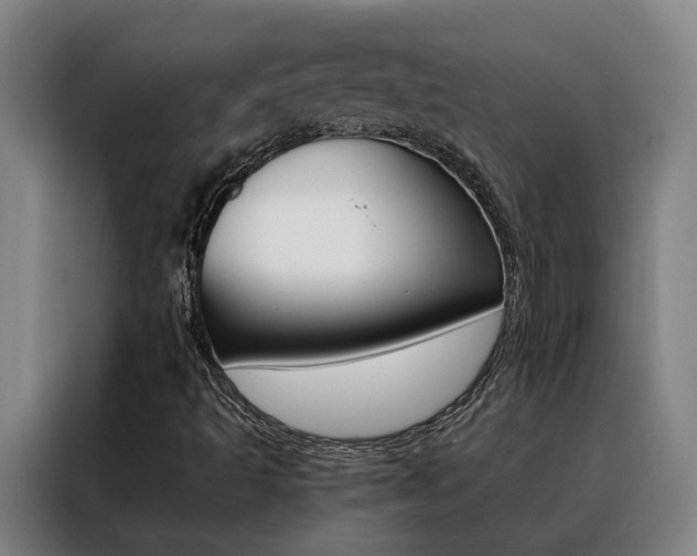 X0000088441493200705220904