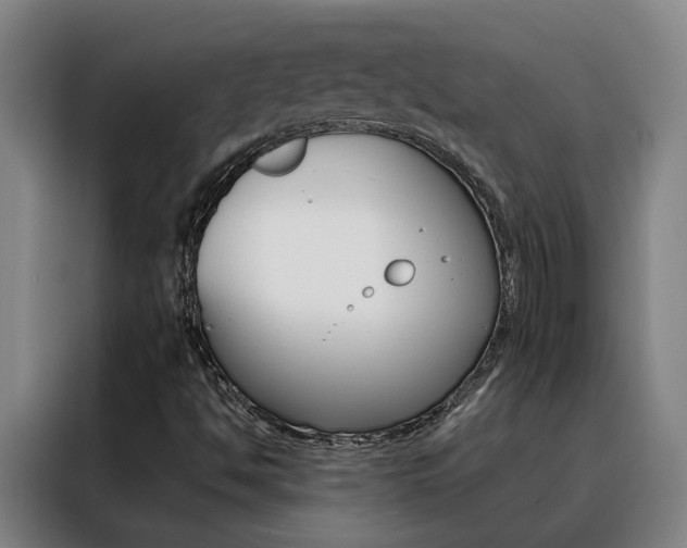 X0000088441494200705220904
