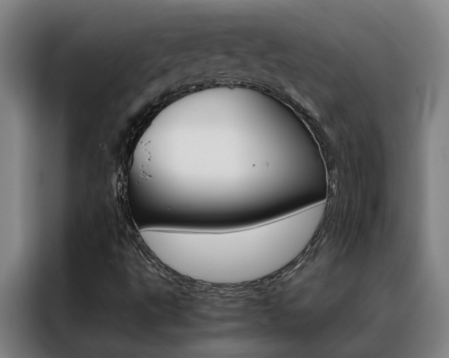X0000088441495200705220904