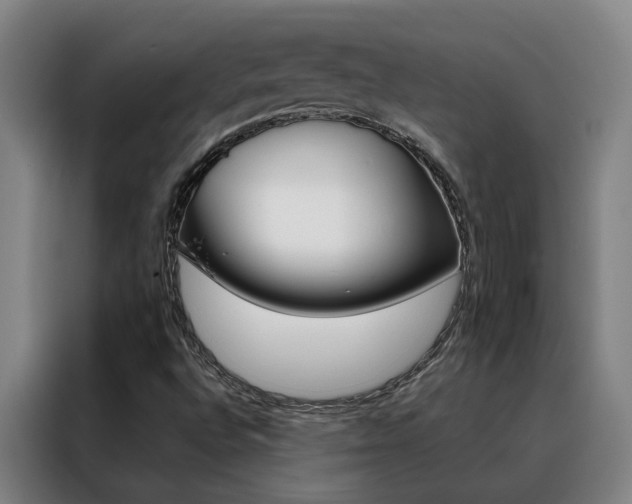 X0000088441496200705220904