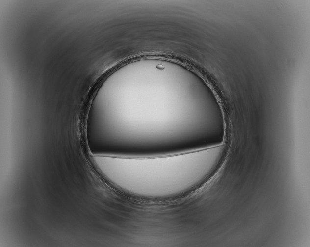 X0000088441497200705220904