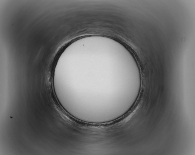 X0000088441498200705220904