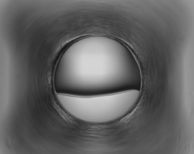 X0000088441499200705220904