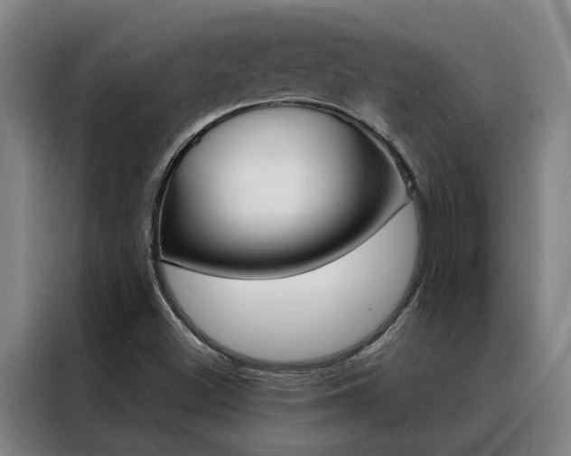 X0000088441500200705220904