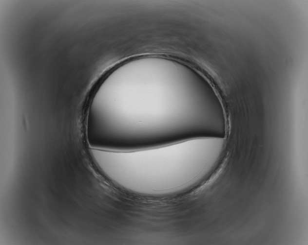 X0000088441501200705220904