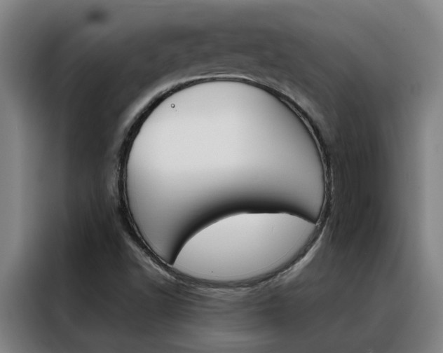 X0000088441502200705220904