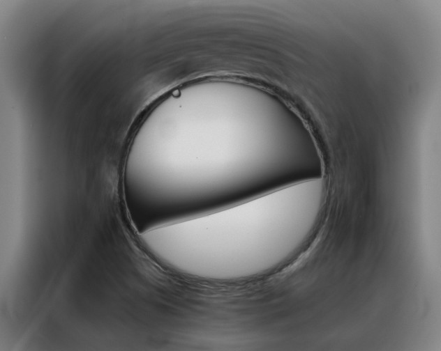 X0000088441505200705220904